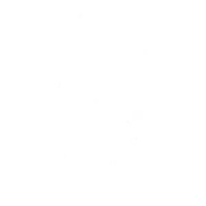 thecleverapes.com
