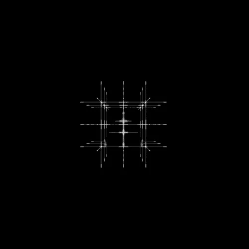 White grid line animation on a black background